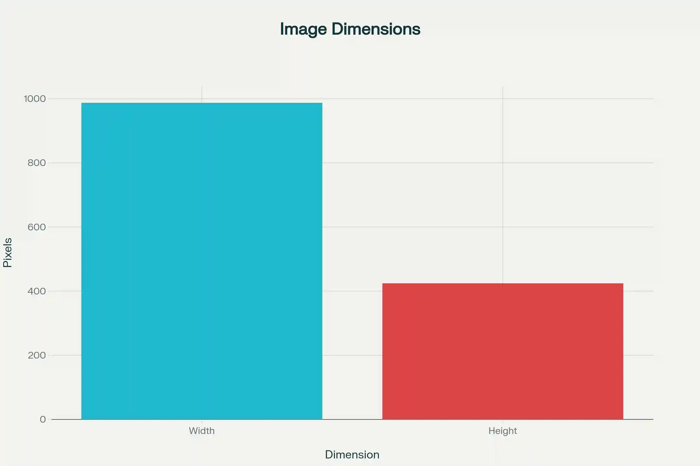 A visual guide showing steps to optimize images for SEO